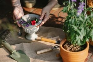 optimize digital growth tools